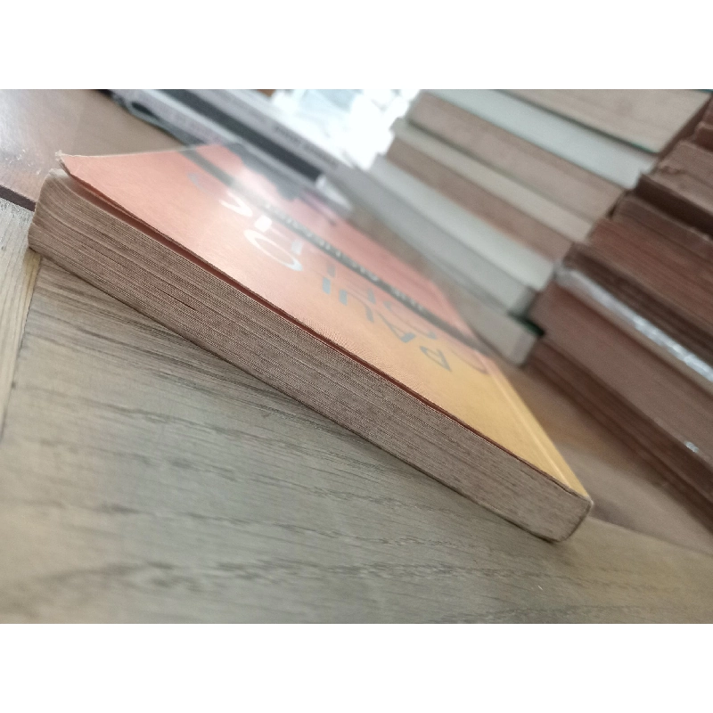 The Alchemist - Paulo Coelcho 521802