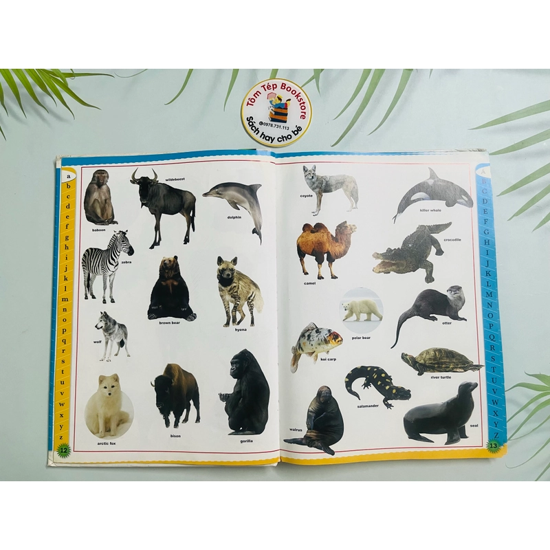 A Children’s Dictionary 545977