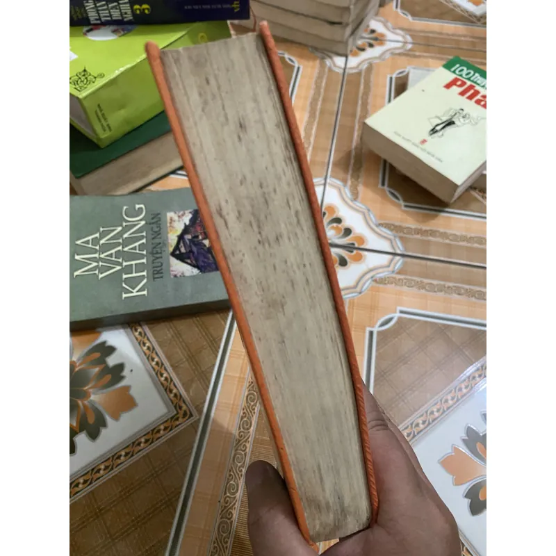 NHỮNG KẺ TỦI NHỤC   - F.M. ĐÔXTOIEPXKI  1032514
