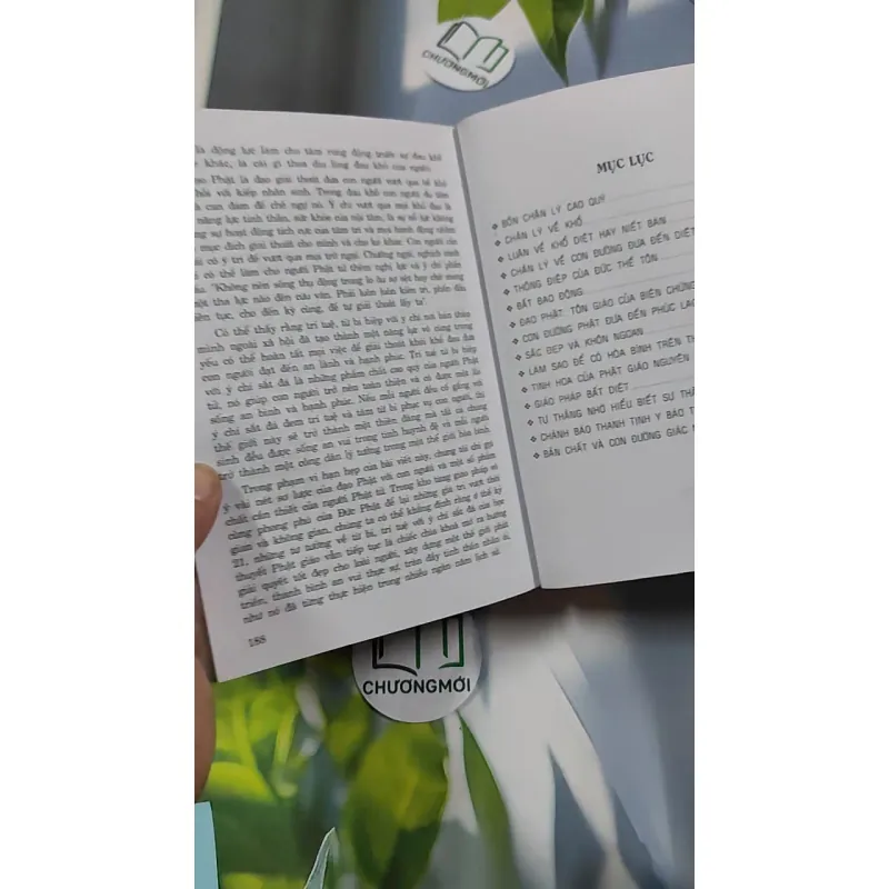 Phật giáo và chân lý giác ngộ - Trường Tâm & Hoàng Yến 776206