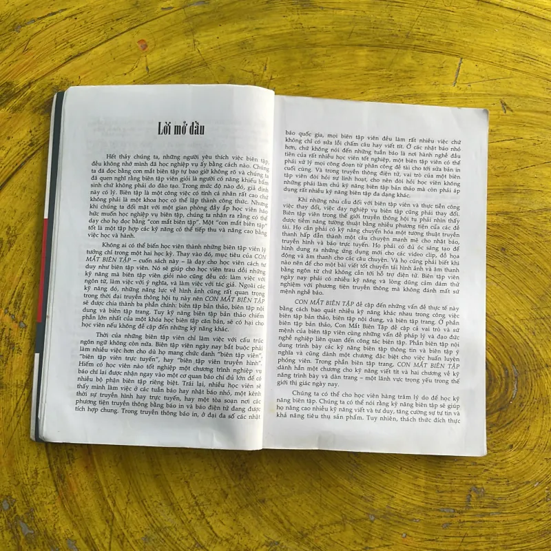 CON MẮT BIÊN TẬP - JANE T. HARRIGAN & KAREN BROWN DUNLAP 961476