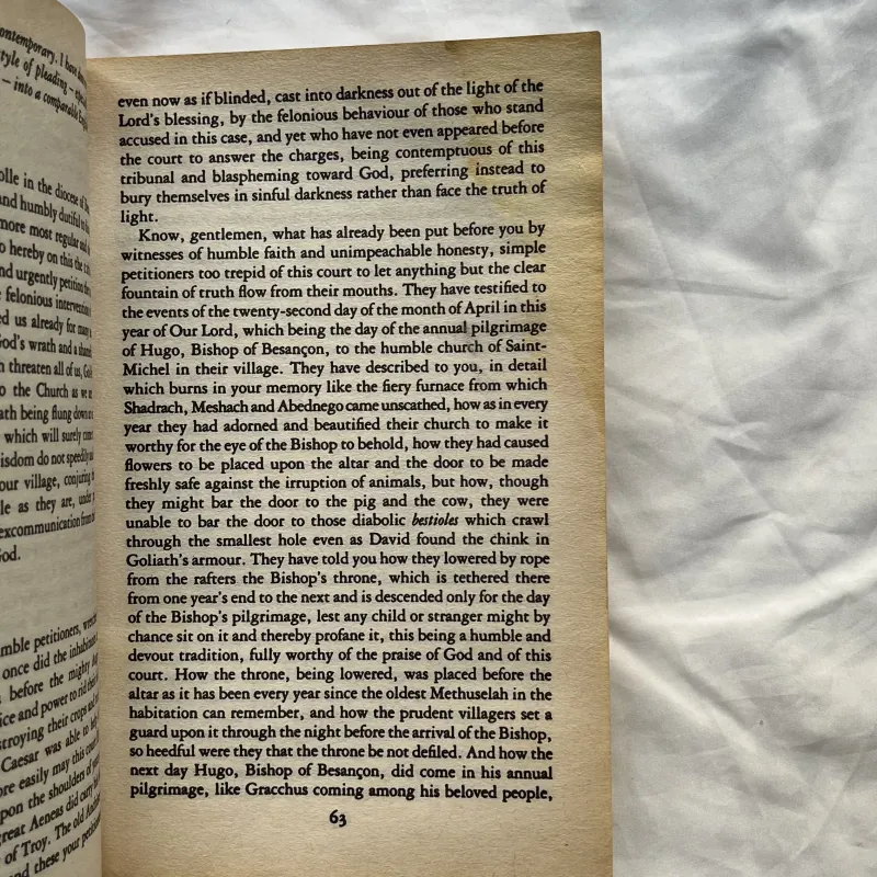 A History of the World in 10½ Chapters - Julian Barnes 790155