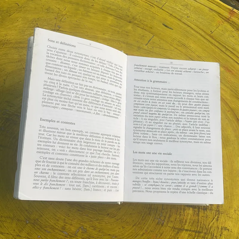 DICTIONNAIRE DES SYNONYMES- LES DICOS D’OR 697196