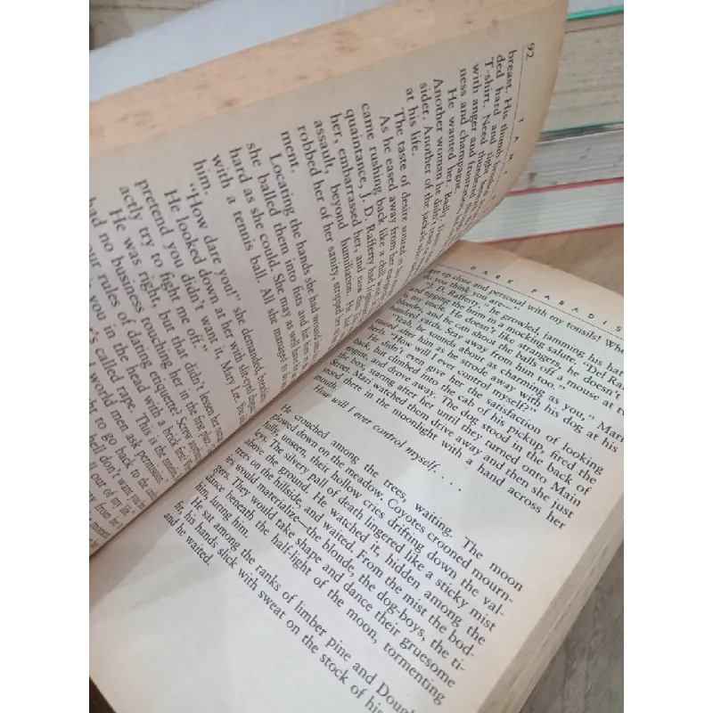 Dark paradise - Tami Hoag 704110