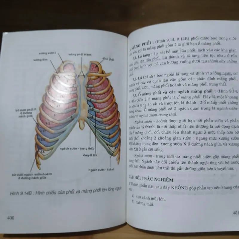 Giản Yếu Giải Phẫu Người (Nxb Y Học 2006) 1031447