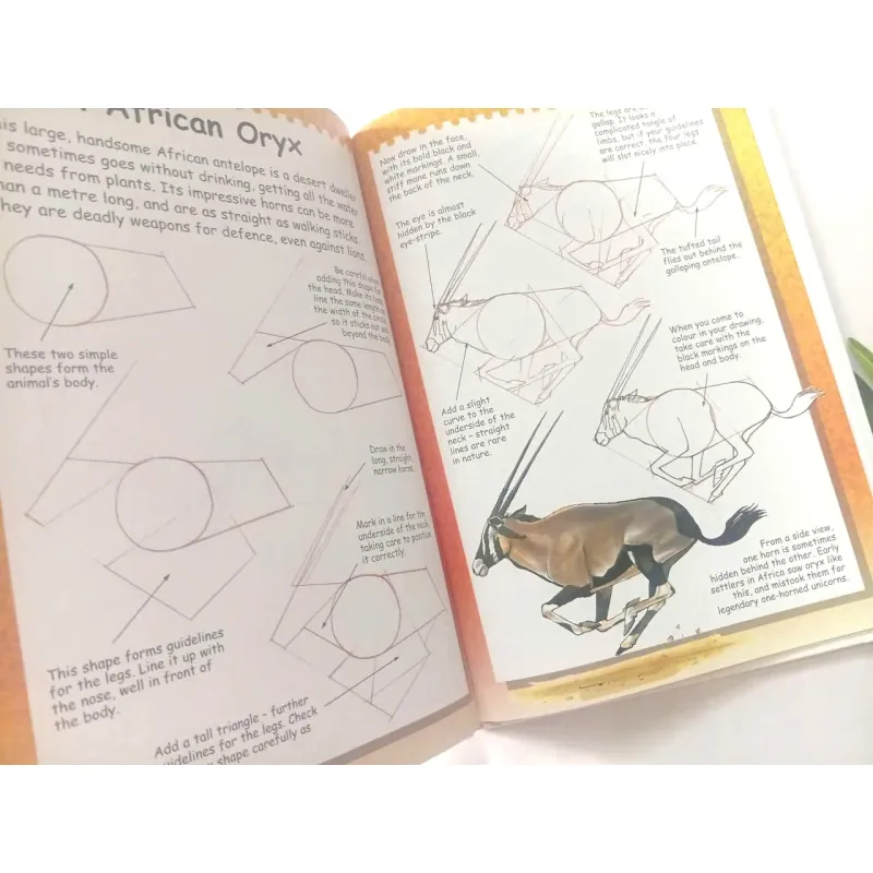 I Can Draw Wild Animals 1002086