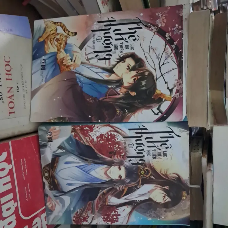 Thê vi thượng 1021279