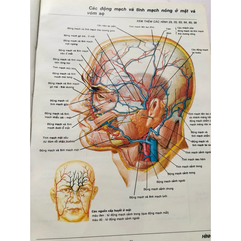 3. ATLAS GIẢI PHẪU NGƯỜI  470951