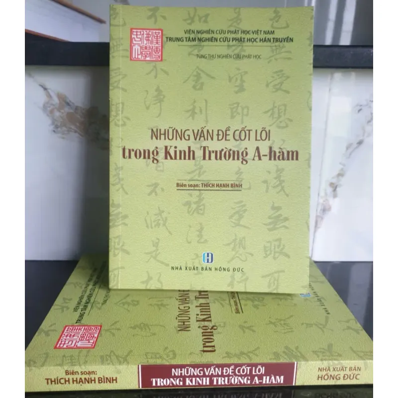 Sách nghiên cứu Phật học Những vấn đề cốt lõi trong Kinh Trường A-hàm - Thích Hạnh Bình mới 90% 675456