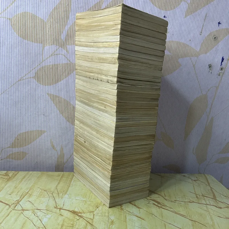 RANMA 1/2 full 38t 733903