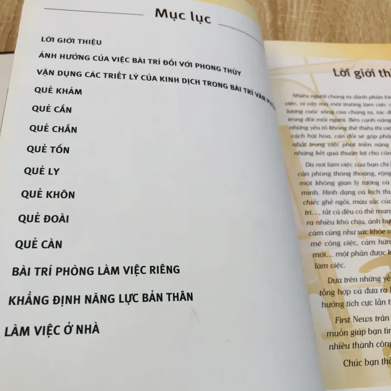 PHONG THUỶ CHO VĂN PHÒNG – Sharon Stasney 931687