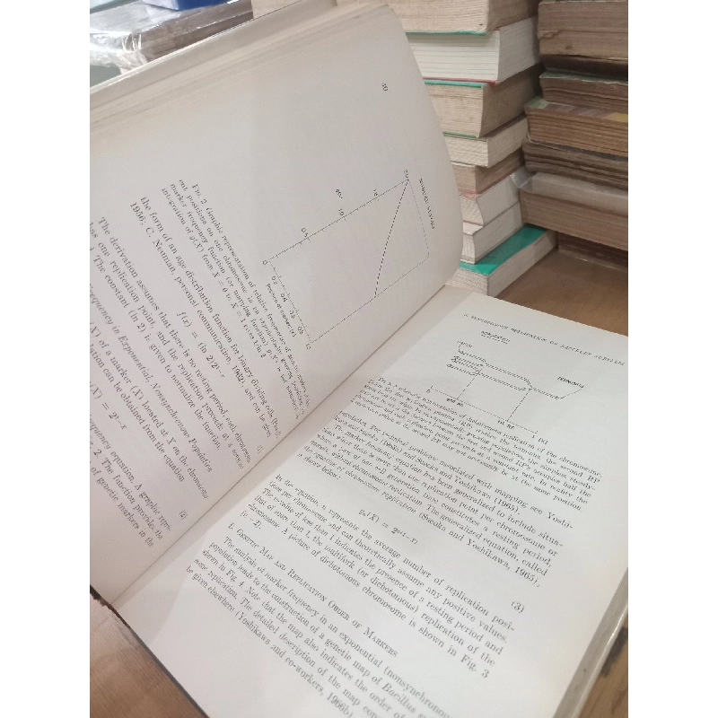 Cell Synchrony: Studies in Biosynthetic Regulation - Ivan L. Cameron, George M. Padilla 1023642