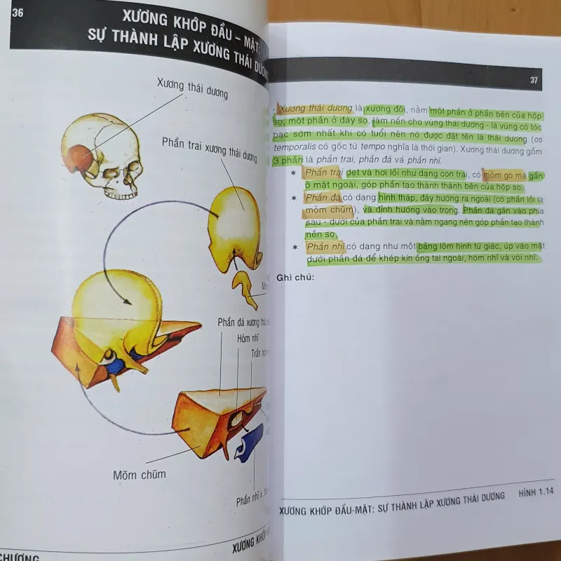 GIẢI PHẪU ĐẦU MẶT , NGỰC BỤNG, CHI TRÊN DƯỚI  760731