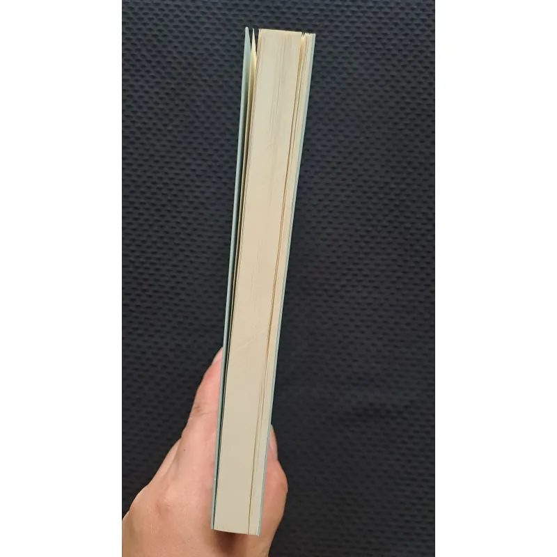 Em sẽ đến cùng cơn mưa - Ichikawa Takuji  1042113