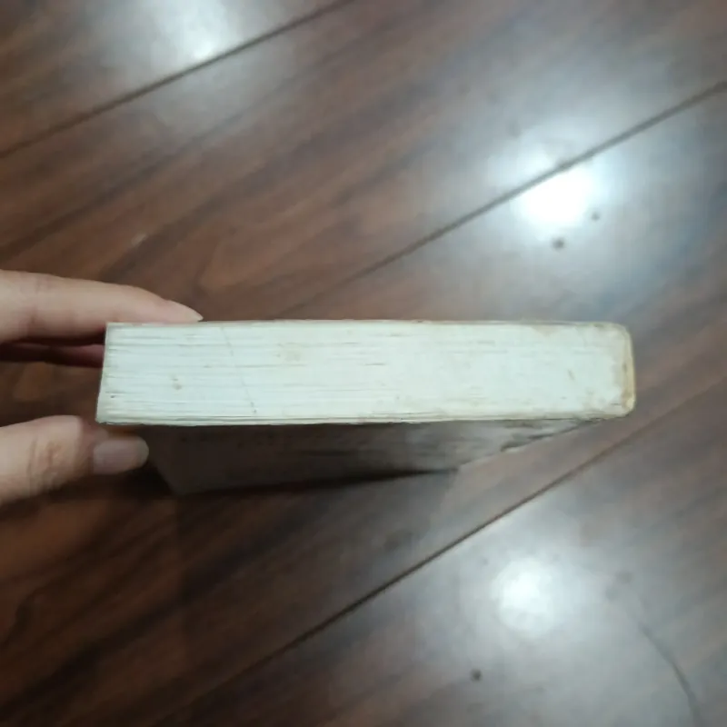 Chú chó nhìn thấy gì 757431