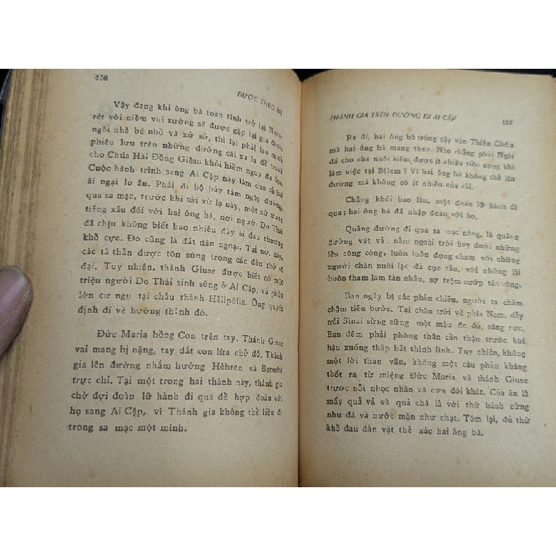 Bước theo mẹ - Nguyễn Thanh Điện phỏng dịch 412075