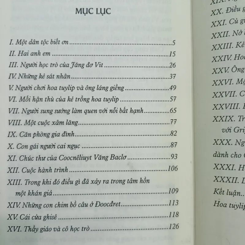 Hoa Tuylip Đen 558250