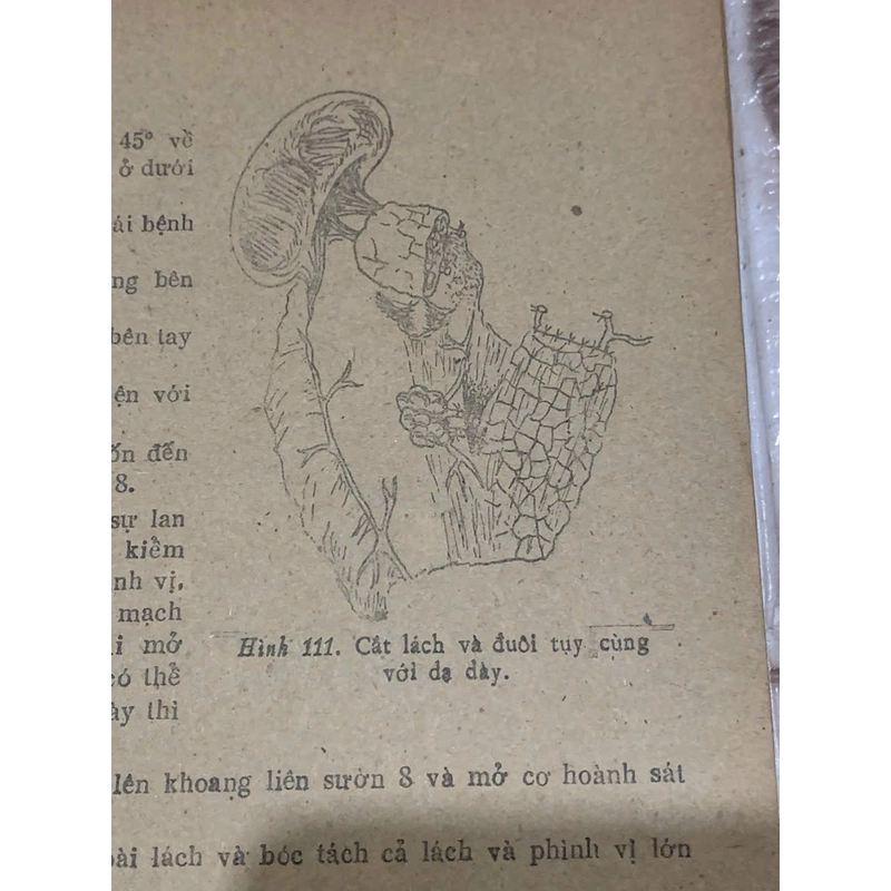 BỆNH HỌC NGOẠI: BỤNG- sách y học, Tây Y , khổ lớn  539872