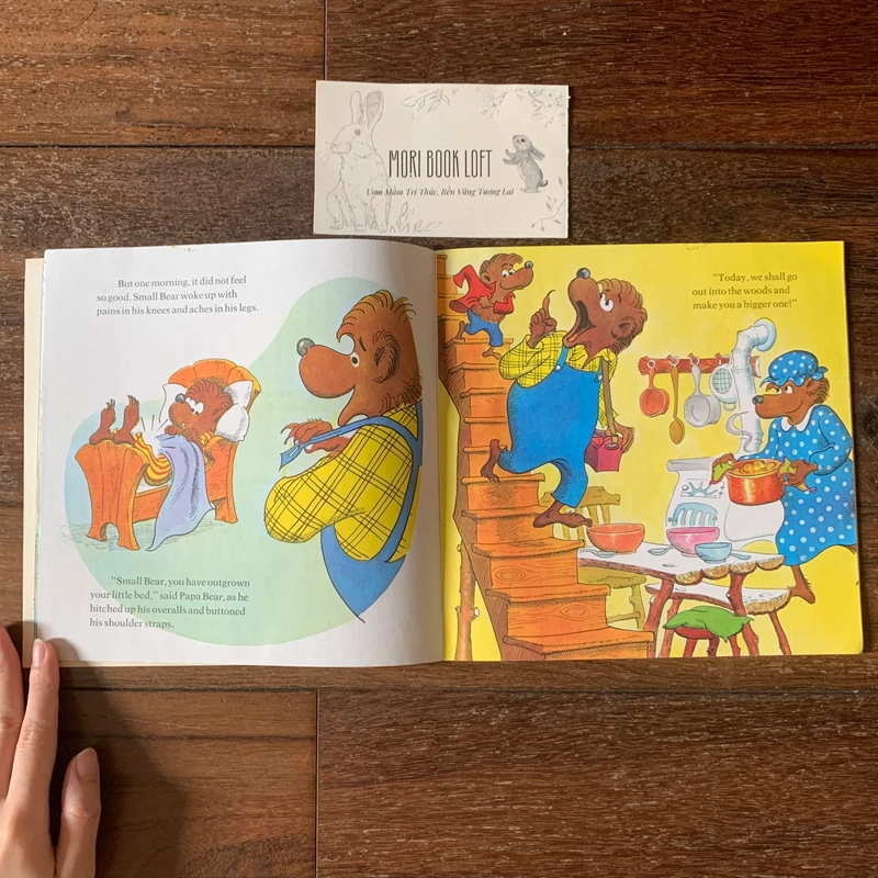 Sách ngoại văn The Berenstain Bears' New Baby, Used 498056