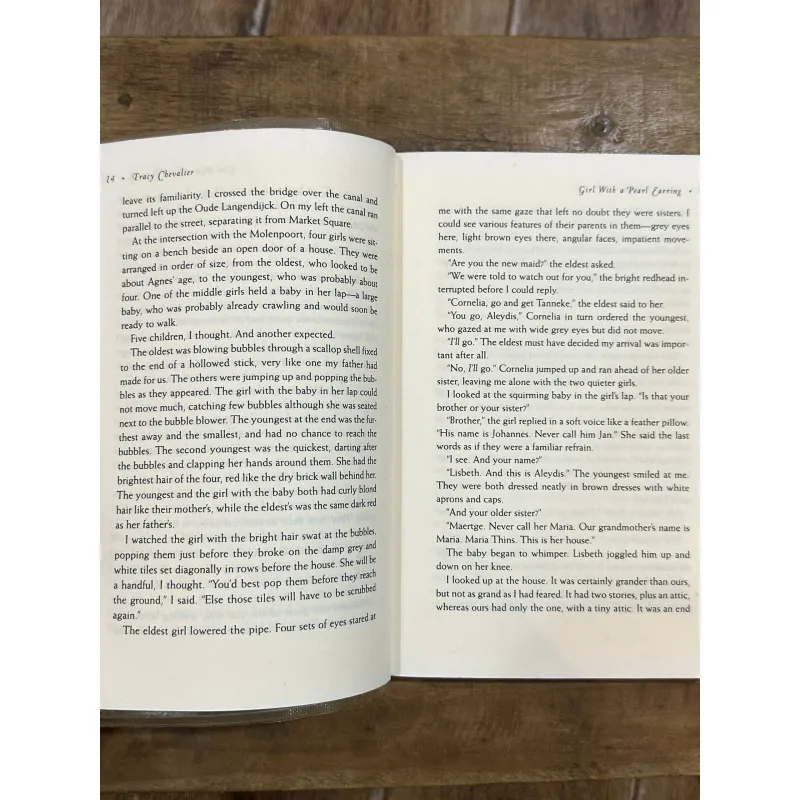 Girl with a Pearl Earring - Tracy Chevalier 731285