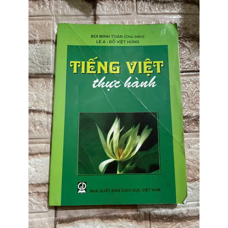Tiếng Việt thực hành - Hoàng KIm Ngọc 460964