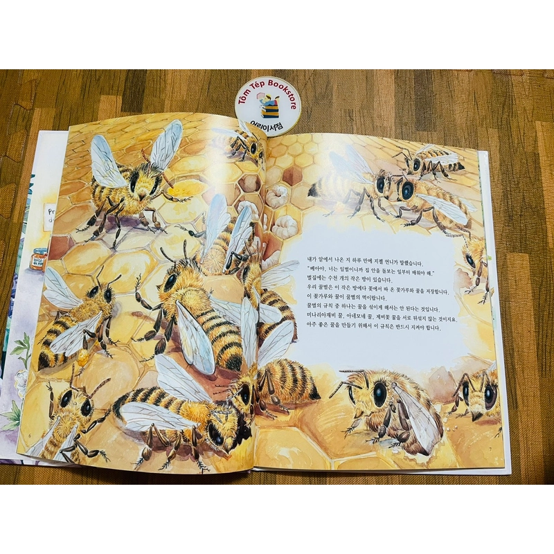 Set sách tranh tiếng Hàn 아이성장 그림책 - bìa cứng khổ to 501527