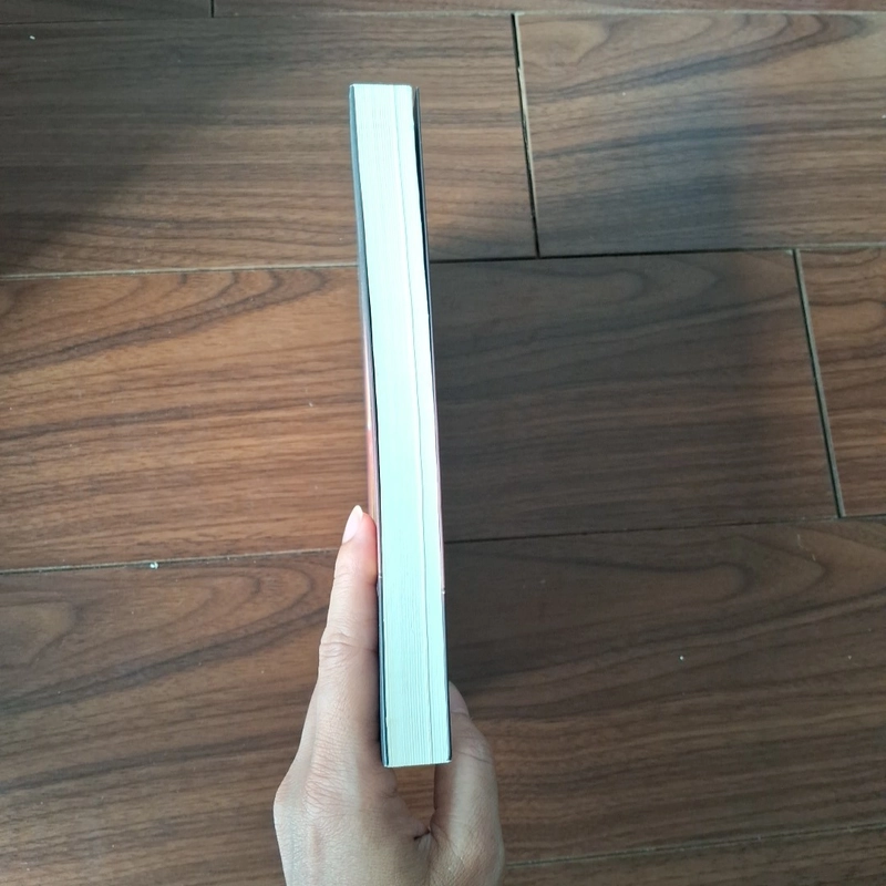 Cánh cửa mặt trăng 529779