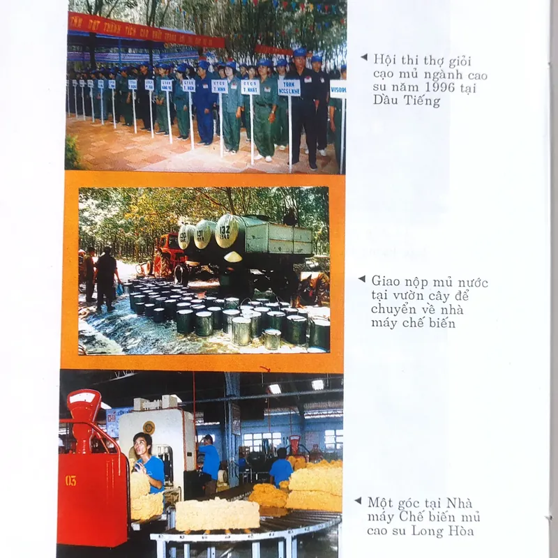 LỊCH SỬ PHONG TRÀO CÔNG NHÂN Dầu TIẾNG  562389