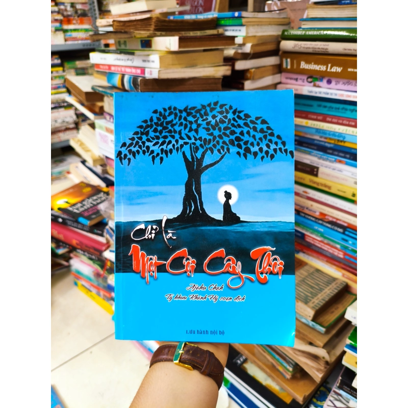 Chỉ là một cội cây thôi 🌱 509972