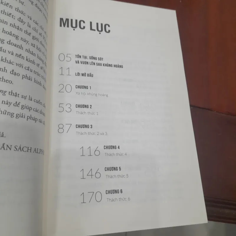 Ian I. Mitroff - HÙNG MẠNH HƠN SAU KHỦNG HOẢNG 1030774