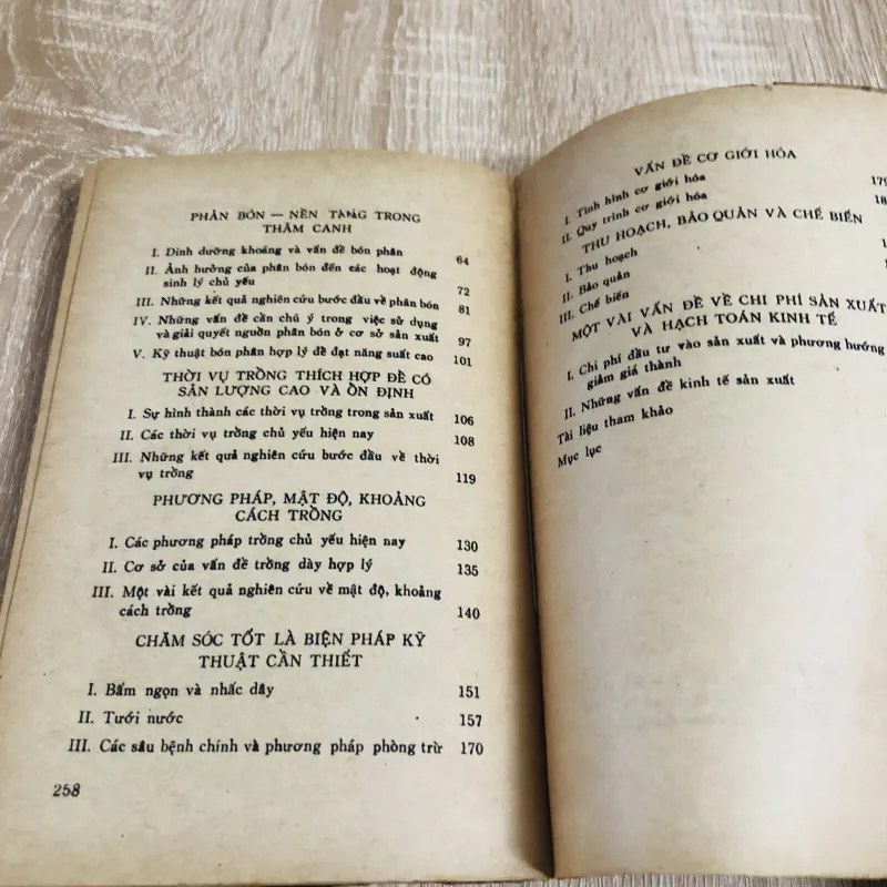 KỸ THUẬT THÂM CANH CÂY KHOAI LANG  1027906