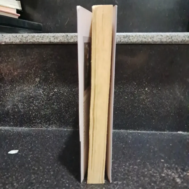 Xứ Tuyết- Yasunari Kawabata 1006056