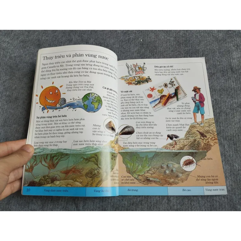 BỜ BIỂN - TỦ SÁCH KHÁM PHÁ 559713