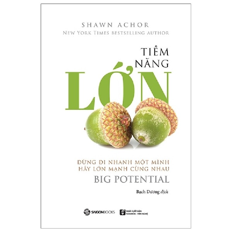 Tiềm Năng Lớn - Shawn Achor 117946