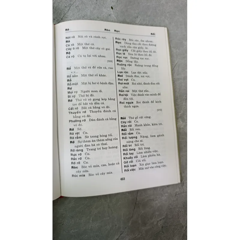 TỰ VỊ ANNAM LATINH 700677