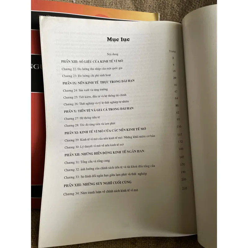 Nguyên lý kinh tế học - 500 trang khổ lớn- N. Gregory Mankiw 960521