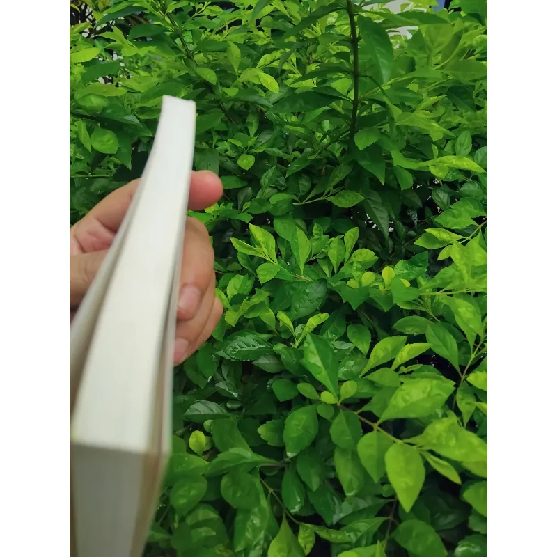 Việt Nam thảm kịch Đông Dương  1000291