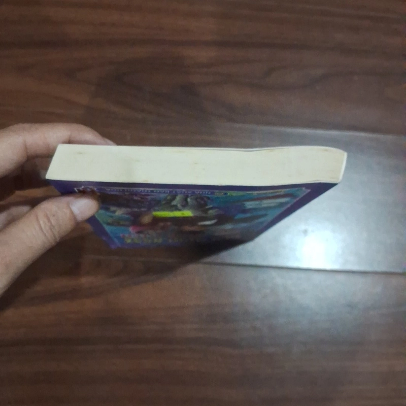 80 ngày vòng quanh thế giới 524085