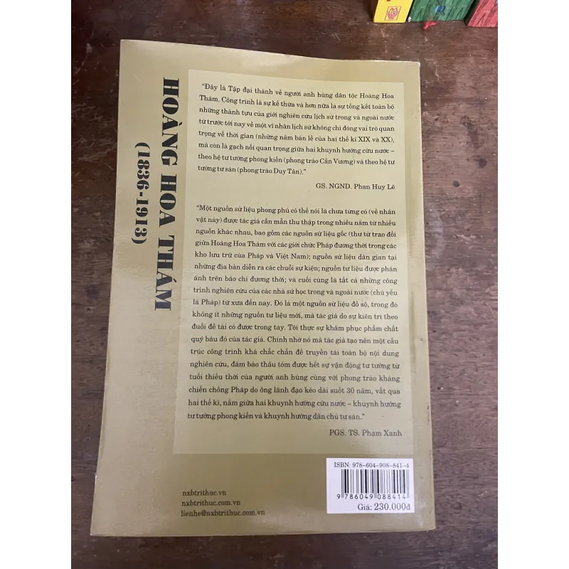 Hoàng Hoa Thám - NXB Tri thức 781227