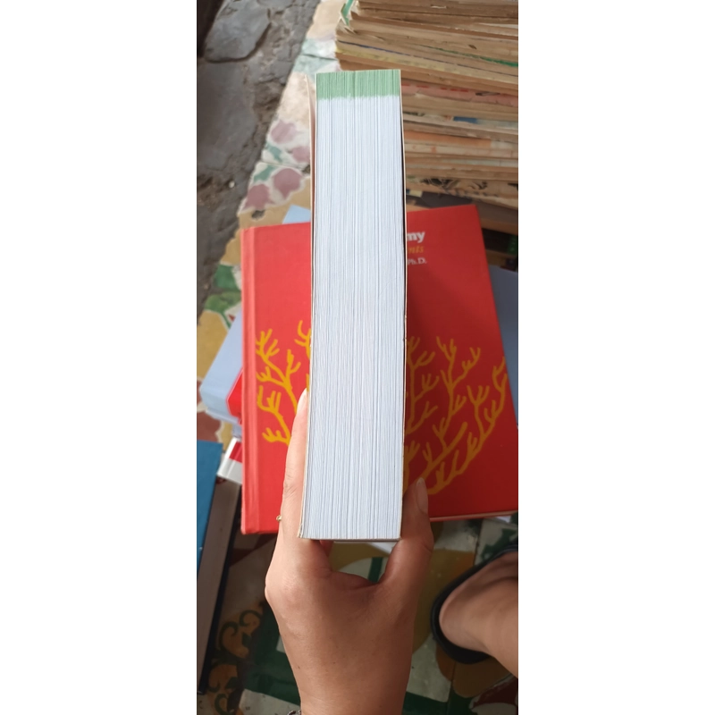 Tiếp Cận Xử Trí Trong Thần Kinh Học 546018