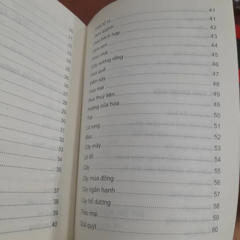 Cái đẹp của sự bình thường 966496