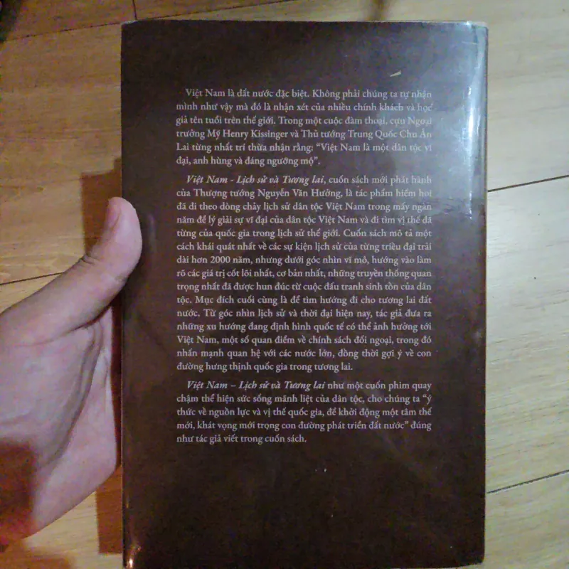 Việt Nam: Lịch sử và tương lai - Nguyễn Văn Hưởng 933848