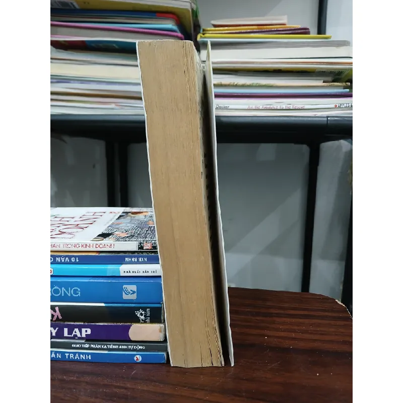 Cũng chỉ là hạt bụi – Mộc Phù Sinh 576215