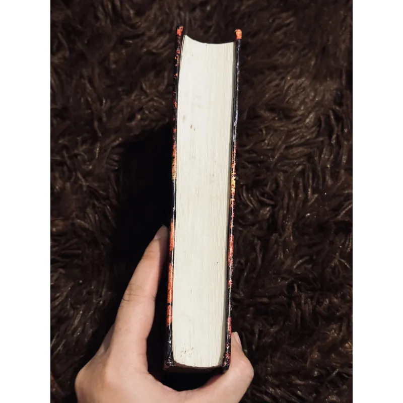 Rừng xanh lá đỏ 1001641