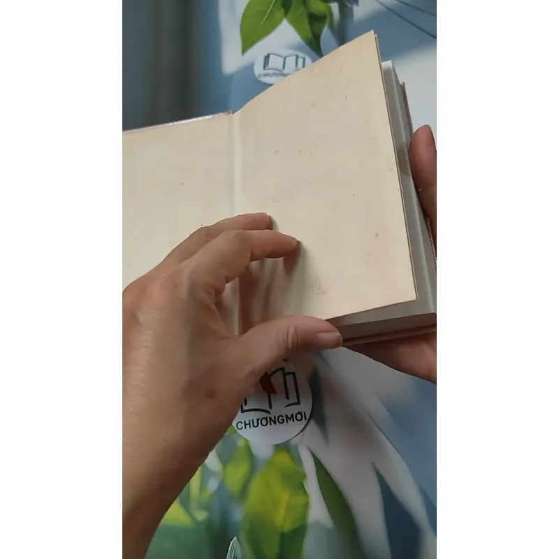 Từ Điển Thành Ngữ Hoa - Việt 749552