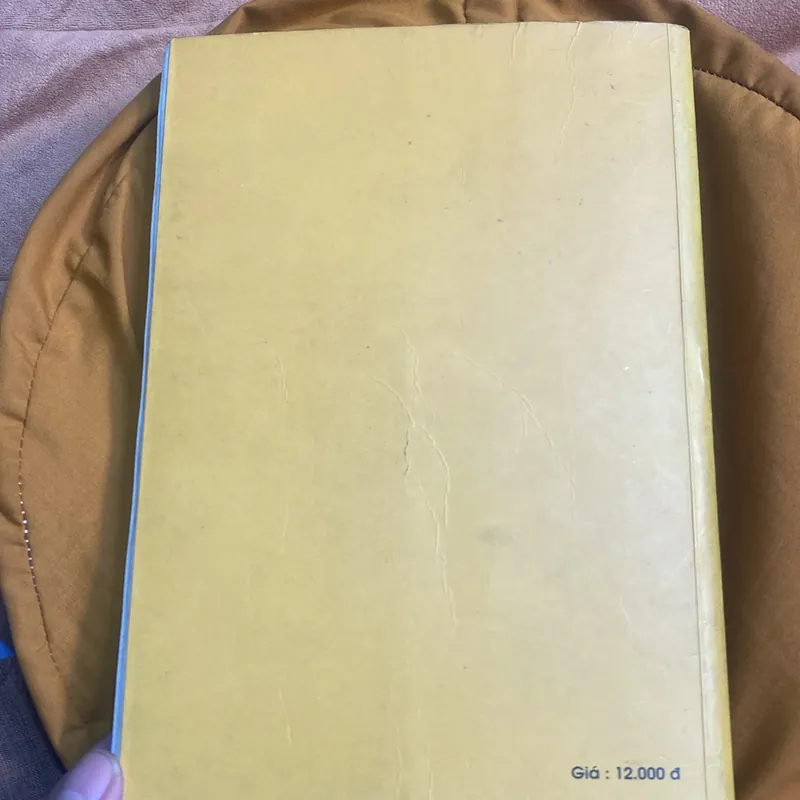 Hoa Vô Ưu Tập 1 - HT Thích Thanh Từ 679256