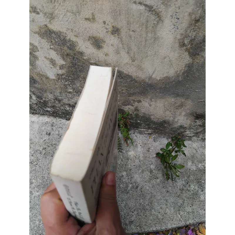 Phan Thanh Giản nhà ái quốc, người mở đường cho nước Việt Nam hiện đại  1030130