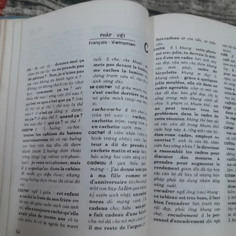 Từ điển VIỆT PHÁP - PHÁP VIỆT. Tg Giáo sư Lê Khả Kế. Nxb Khoa học Xã hội 1990 779221