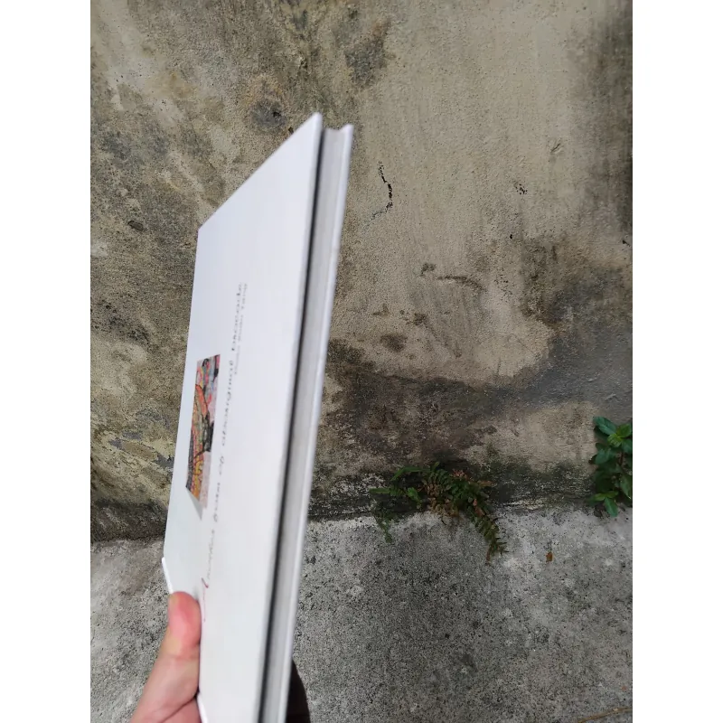 Thổ cẩm khác vựng tập hội họa của Đoàn Xuân Tặng  1006126