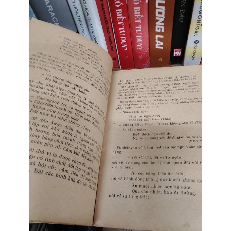 Văn học các dân tộc thiểu số Việt Nam ( trước Cách Mạng Tháng Tám 1945 ) - Phan Đăng Nhật 1026187